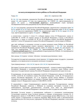 Согласие на выезд ребенка за границу с одним из родителей — превью