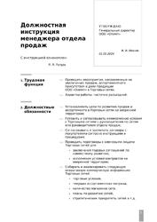 Должностная инструкция — превью