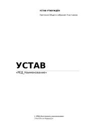 Устав общества с ограниченной ответственностью (ООО) — превью