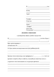 Бланк искового заявления о расторжении брака и разделе имущества без спора о детях