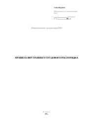 Правила внутреннего трудового распорядка — превью