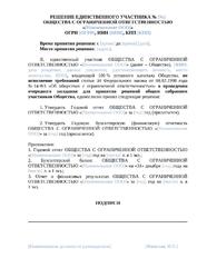 Решение единственного участника ООО (утверждение годовой отчетности) — превью